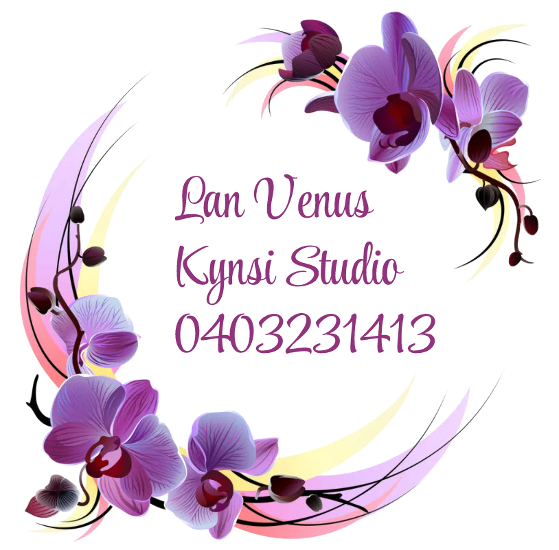 Lan Venus logo