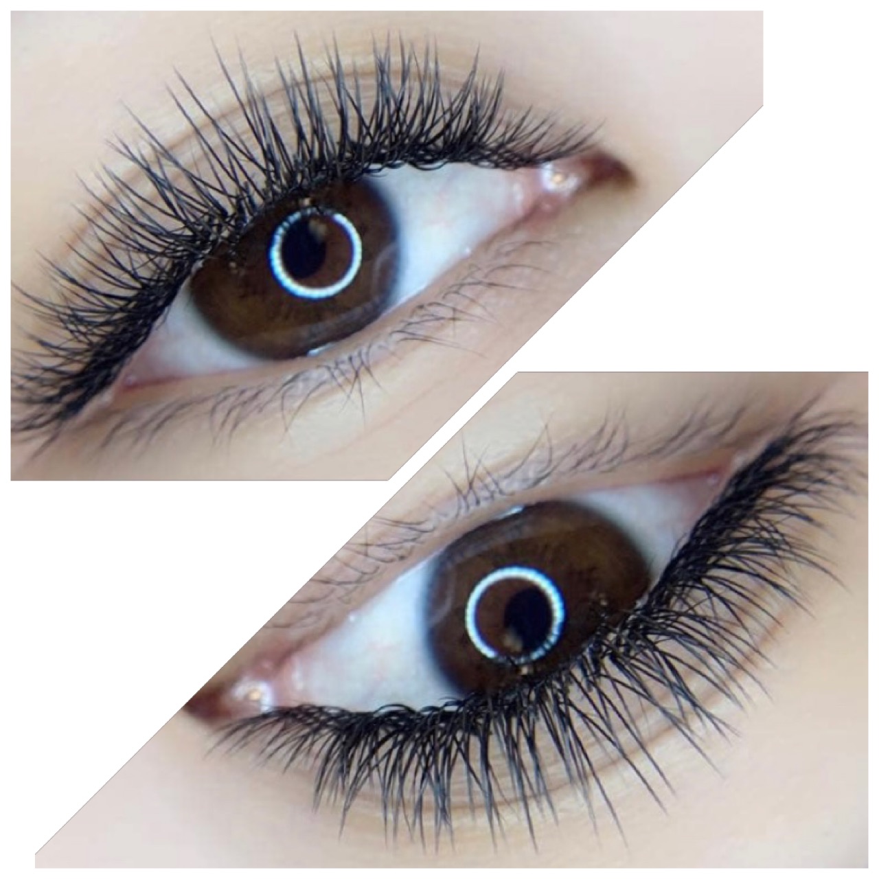 Sapphire Lashes Mikonkatu  logo