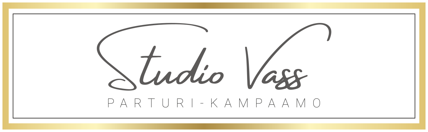 Studio Vass logo